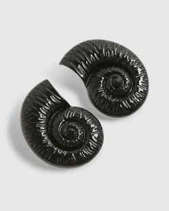 Black Ammonite Shell Earrings