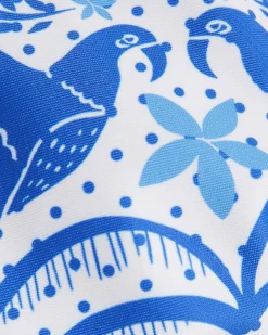 Blue Border Print Bikini Top