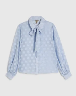 Blue Organza Polka Dot Blouse
