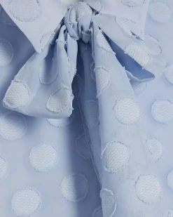 Blue Organza Polka Dot Blouse