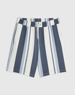 Blue Regular Fit Textured Stripe Shorts