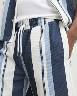Blue Regular Fit Textured Stripe Shorts