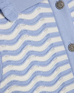 Blue Striped Knit Collared Tank Top