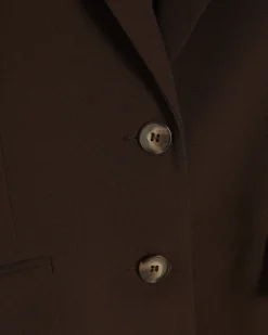 Brown Long Sleeve Single Breasted Blazer