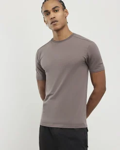 Brown Muscle Fit Pack Of 3 T-Shirts