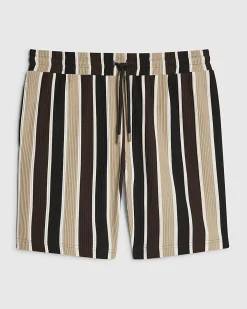 Brown Slim Fit Stripe Shorts