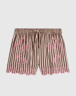 Brown Stripe Embroidered Toucan Shorts