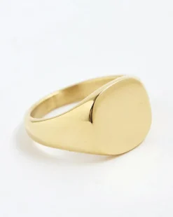 Gold Steel Signet Ring