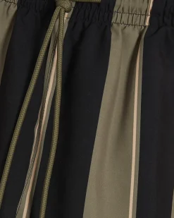 Green Black Stripe Swim Shorts
