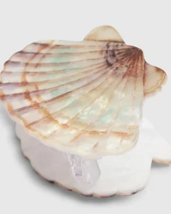 Pink Shell Hair Claw Clip